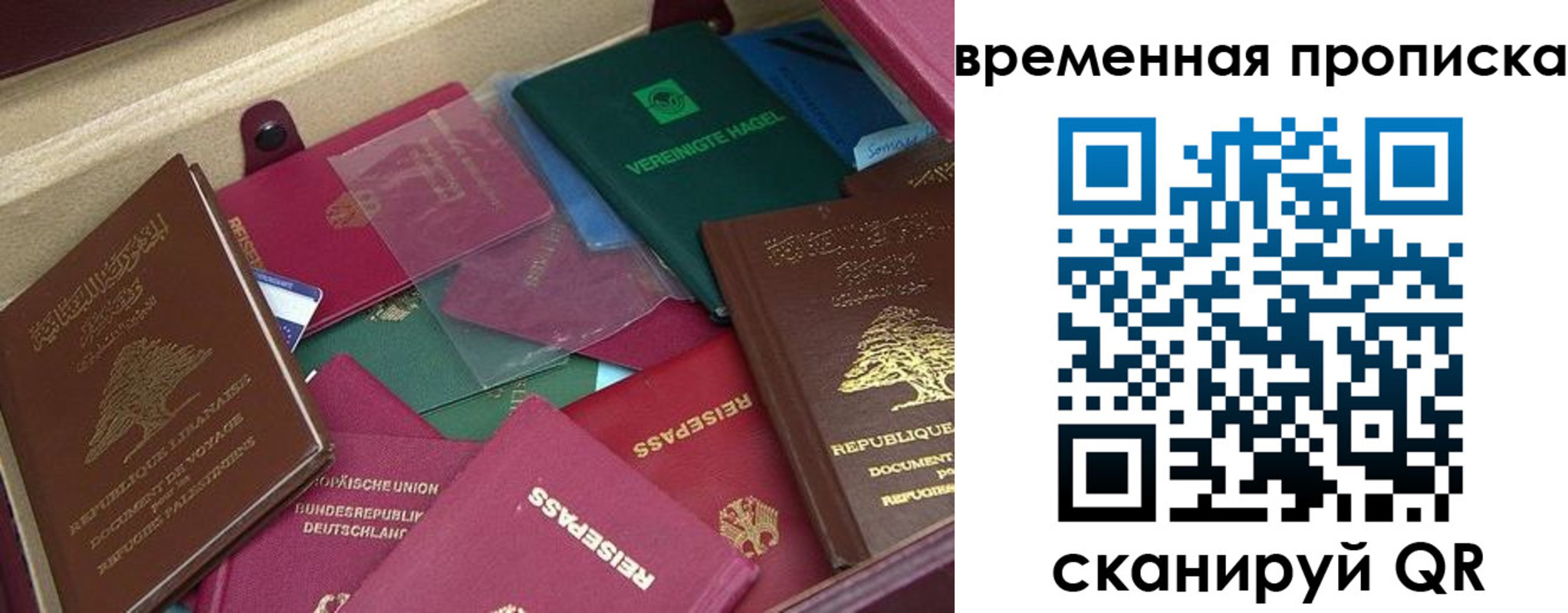 прописка в Апатитах
